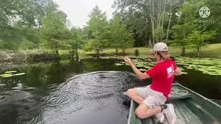 Frog catches HUGE BASS early in the morning!!!
