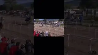 el pel&iacute;cano c hermanos juarez