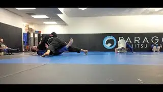 Westlake Dad BJJ Training Log (Paragon Austin - Raw Footage)
