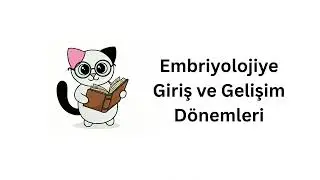Histoloji ve Embriyoloji Podcast- Sesli Anlatım B&ouml;l&uuml;m 1: Embriyolojiye Giriş ve Gelişim D&ouml;nemleri