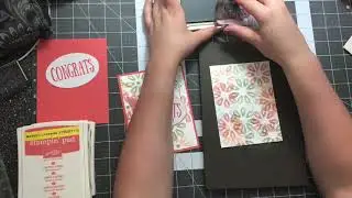 August 2017 Paper Pumpkin Alternatives Part II