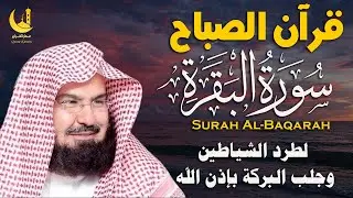 سورة البقرة كاملة لتحصين البيت من الحسد والسحر | السديسSurah Al-Baqarah for Home Protection