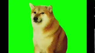 spimn
