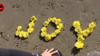 Kiting for Joy