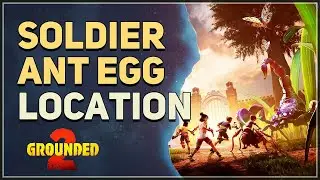 Soldier Ant Egg Location Grounded 2