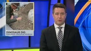 Badlands Dinosaur Museum: Dinosaur Dig