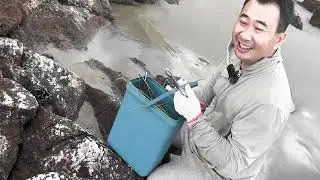 玉平退潮赶海、不负期望抓到两只青蟹和一些螺、太高兴了！ #海边生活 #赶海 #捉螃蟹 #赶海生活