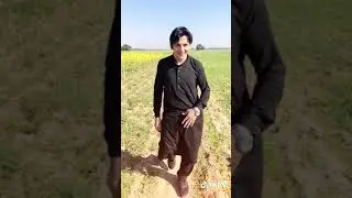Pashto vibes