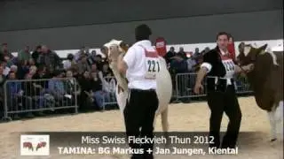 Jungkuhchampionat 2012: Misswahlen