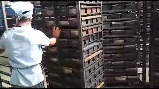 bun pav auto plant machine