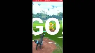 2020 Silph Arena Regional Rnd2