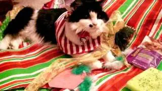 Buffy's First Christmas