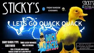 Sticky's Friday Random Giveaways Duck Races Wheel Of Doom Every Friday Early Birds Type Earlybird