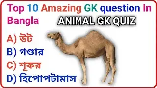 Top 10 Amazing | GK Questions | Daily Ajker | GK Question & Answe in Bangla 🤔