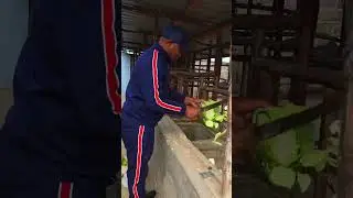 Bishop Ben Reveals his Multi-Million Farm in Nyandarua