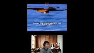 Amazing Animal Growth Journey #animals #funny #cute
