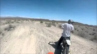roostin