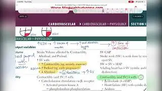 Cardiovascular system lecture  7 &ldquo; preload&rdquo;