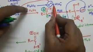 Esterification of alcohols//Esterification Reaction mechanism of class 12##
