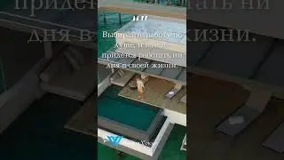 Выбирайте работу по душе | Релакс цитаты #relaxquotes  #motivation #quotes  #цитаты #релаксцитаты