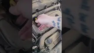Adding Lucas Oil Stabilizer to noisy motor.