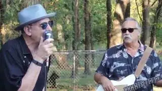 The Hydramatics with Dave Berntson