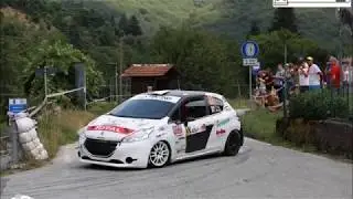 Rally coppa città di Lucca 2019 FRIZ - BERTINI PEUGEOT 208 R2/B