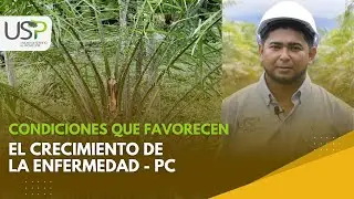 Condiciones que favorecen el crecimiento de la enfermedad - PC