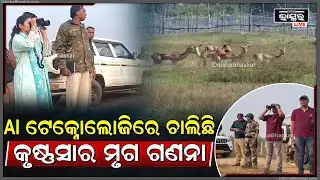 ଗଞ୍ଜାମ ଜିଲ୍ଲା ଘୁମୁସର ଦକ୍ଷିଣ ବନଖଣ୍ଡରେ AI ଟେକ୍ନୋଲୋଜିରେ ଚାଲିଛି ଚାଲିଛି କୃଷ୍ଣସାର ମୃଗ ଗଣନା