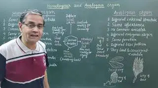Homologous and Analogous organs