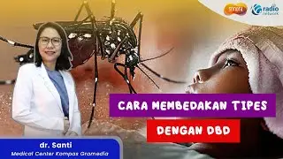 Bagaimana Cara Membedakan Tipes Dengan DBD ? | Health Corner