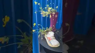 Natural naturally design designed #youtuber #respect #reels #street #city #ytshorts #youtube l