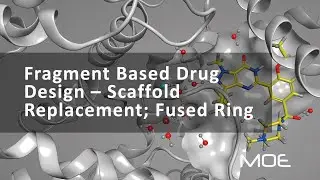 Fragment Based Drug Design - Scaffold Replacement; Fused Ring