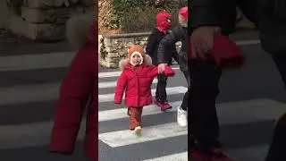 Baby Girl | Monkey Costume #shorts #school #carnivale #schoolprograms #youtubeshorts #viralshort #yt