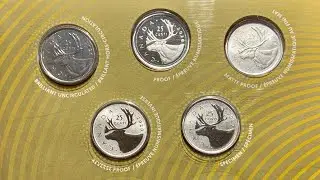The 5 Common Finishes on a Coin