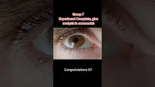 Group 7 Experiment Complete, give analysis in comments! #group7 #eyes #fun #funny
