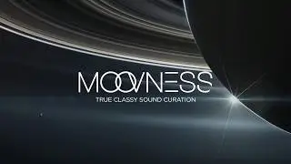 GLOBE - LIGHTS OUT