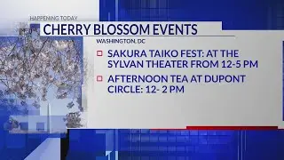 Cherry blossom events held Sunday in DC