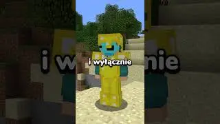 stary system zbroi w minecraft