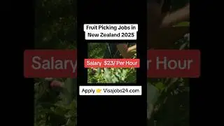 Fruit Picking Jobs in New Zealand 2025: Earn $23/Hour with Visa Sponsorship #job #jobsarch #shorts