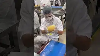 El Trabajo Mas FACIL del MUNDO