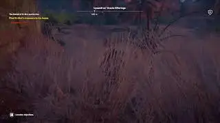 Live - Assasin's Creed Origins, memulai menjadi ordo assasin Hidden one!!