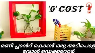 money plant hanging methods | mony plant hanging | hanging pot making | garden roots