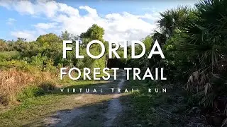 Virtual Trail Running - Florida - Mangrove Forest Road and Trail south of Miami