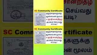 How to apply SC community Certificate | SC Community certificate apply online 2025