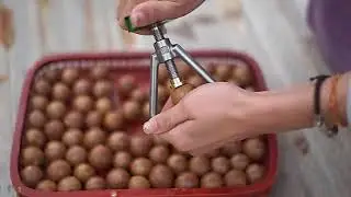 Nut Opener Machine Walnut Sheller Tool Stainless Steel Macadamia Nut Opener Opening Household Kitche