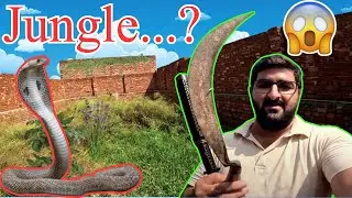 Hamara plot Jungle Ban Gaya😱 | Choudhary Noman - CN42