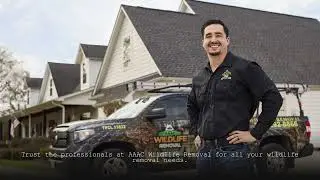 AAAC Wildlife Removal San Antonio - Wildlife Removal Shavano Park
