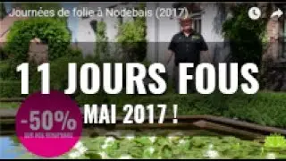 Journ&eacute;es de folie &agrave; Nodebais (2017)
