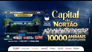 6º Leilão Presencial Capital do Nortão